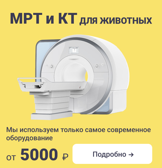 Реклама