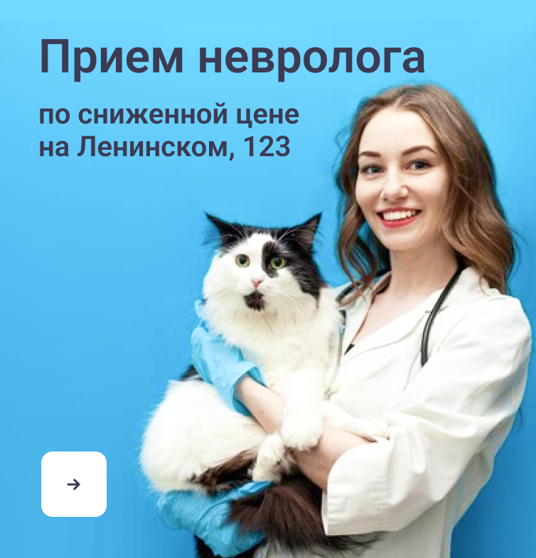 Баннер шапка "Специалисты"