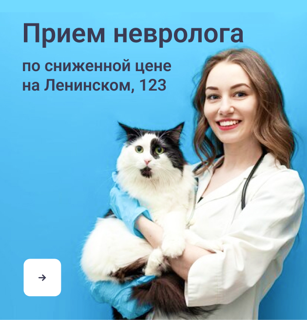 Баннер - Страница "Услуги и цены"