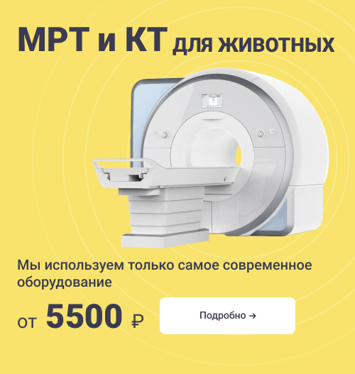 Баннер - Главная вкладка "Отделения"